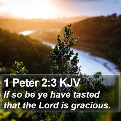 1 peter 2 kjv|1 PETER CHAPTER 2 KJV .
